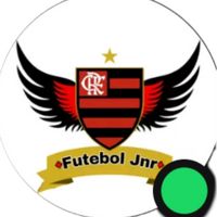 futeboljnr