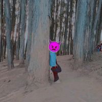andersonxtlv1237