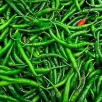 greenchilli143