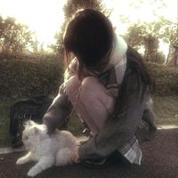 faseline_