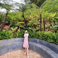 nhạc nền - Củ Cải Đường