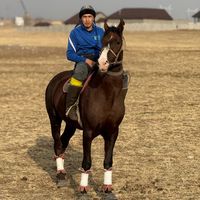 darhan.mankeev