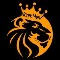 narekmeriofficial