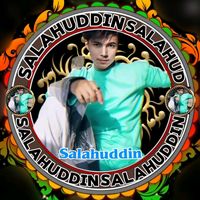 salahuddin4130
