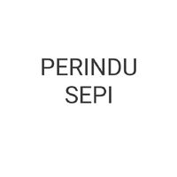 original sound - PERINDU SEPI
