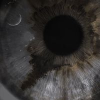 37242l