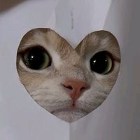 suara asli - sofi🅰️