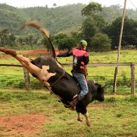 jonathanaguiar55