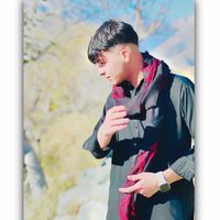 hizboopashayi