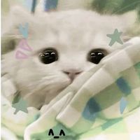 xiaomaomao_666_lyrics