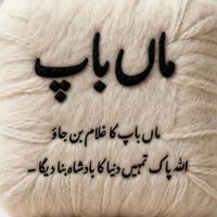 kashif71561