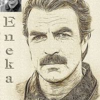tomselleckwi