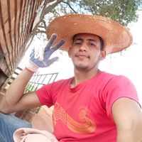 gustavodavid210