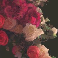 original sound - SonataSoul