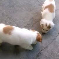 usern4ohehfybe