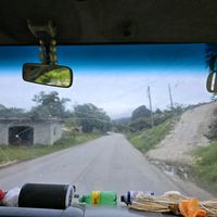 vidaliacaal0