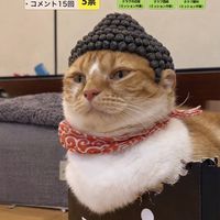 cocoririsan