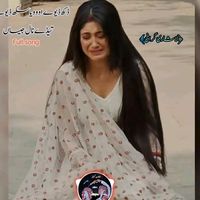 shanmirani03486521