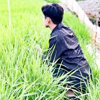 nhạc nền - Anh hiếu 🥰