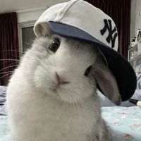 f3bnxm__