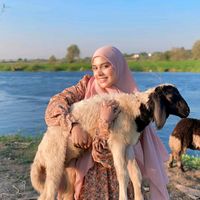 menna_alla1