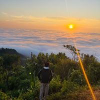 _its_your_rohan