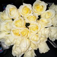 14 кыдыратн кунба