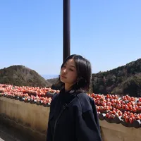 original sound - n.vdinne