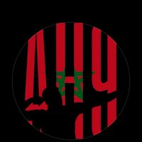 h.amedallah_9