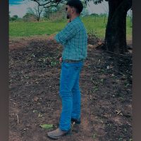 brunohenrique6371