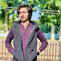 zainali2864