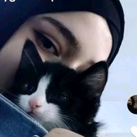 mayyas817