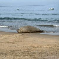 karloalfredoromerogarci0