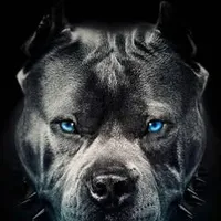 original sound - david.angeles860