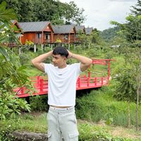 panha_vp