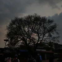 Bhikhaari Oasis thapa