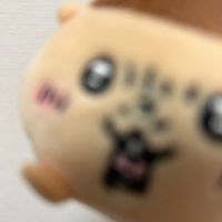 r1qn4i_s2