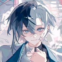 ham_v9