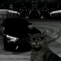 doreaman8