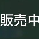 いい波乗ってんね