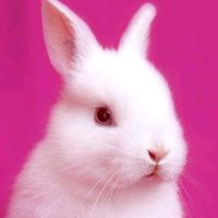 мой мармеладный