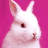 original sound - c0mtose