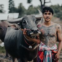pach_thanachot