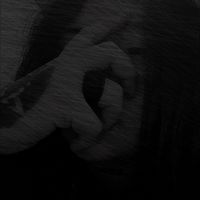 helen_gasparin