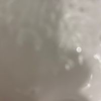sea89657