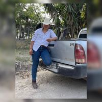 alfaro_2002