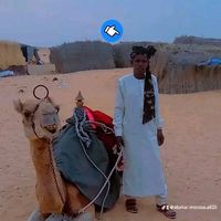 abakar.moussaami2
