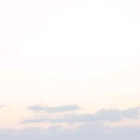user63f7ehls17
