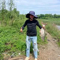 original sound - 502_giang