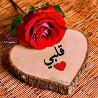 user7754710865858